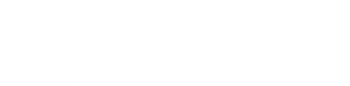 Saba Nasir Logo